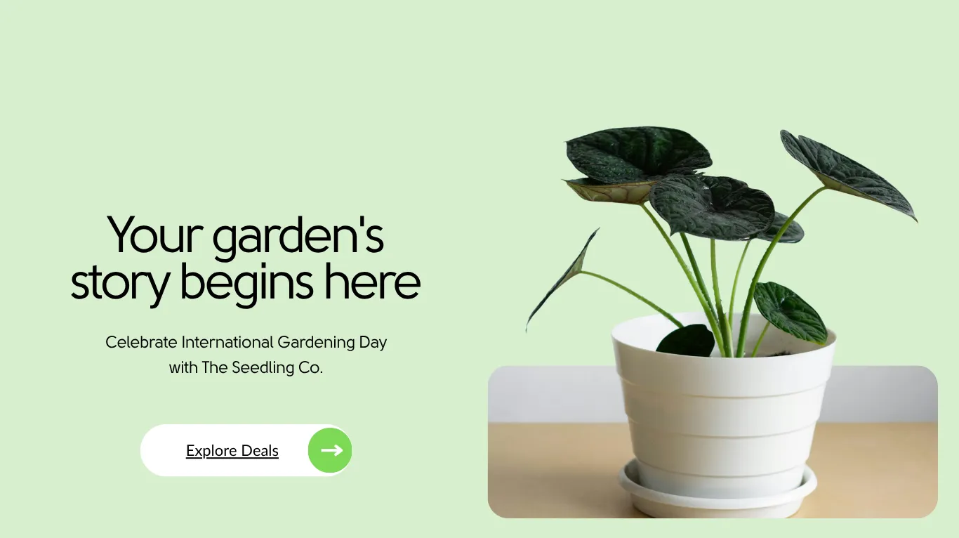 International Gardening Day Template for Shopify Stores