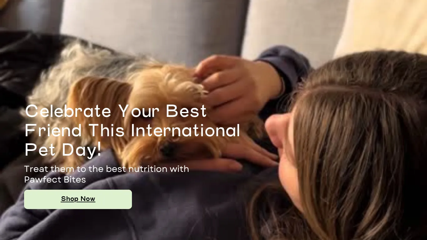 International Pet Day Template for Shopify Stores